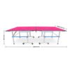 Mesa de Ping Pong XTT Street Pink